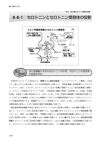 Web版 Hybrid Book 動画マスター機能形態学 2